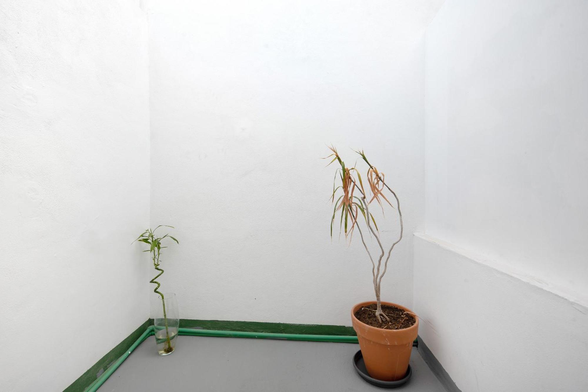 Apartamento Vista La Orotava Exterior foto